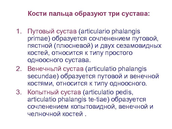 Кости пальца образуют три сустава: 1. Путовый сустав (articulario phalangis primae) образуется сочленением путовой,