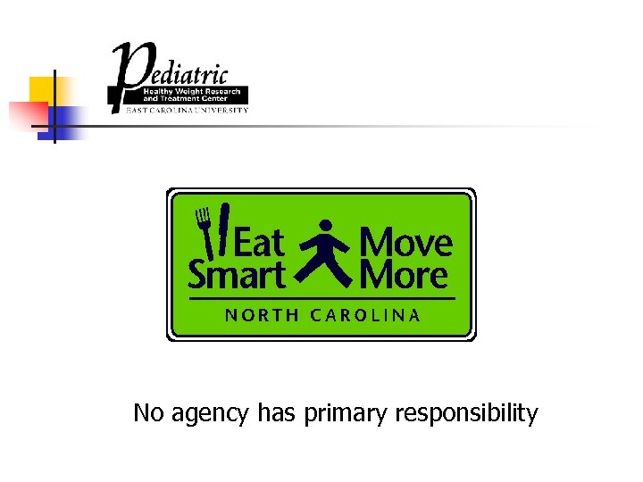 No agency has primary responsibility 