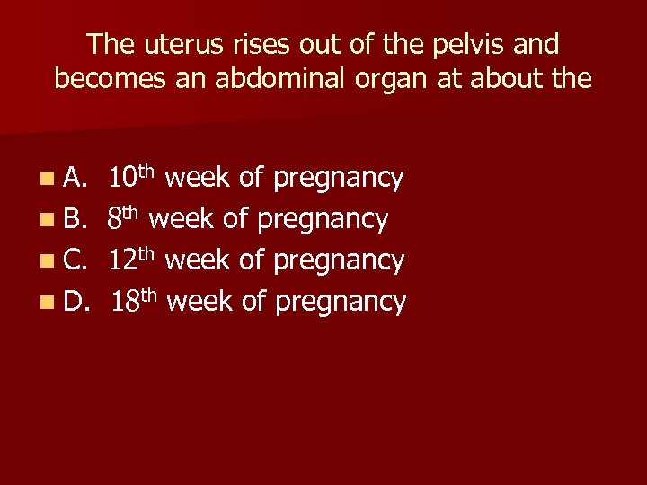 The uterus rises out of the pelvis and becomes an abdominal organ at about