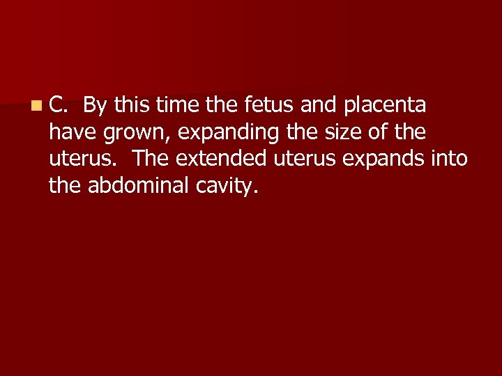 n C. By this time the fetus and placenta have grown, expanding the size