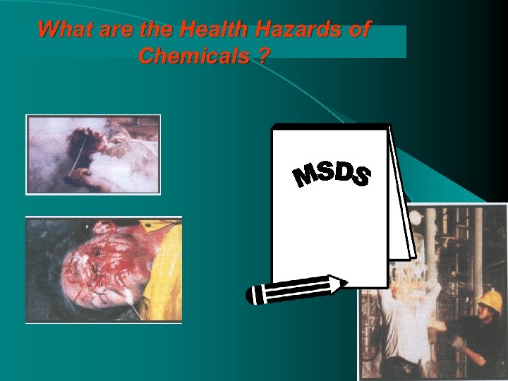 What are the Health Hazards of Chemicals ? 