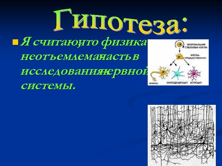 n Я считаю, что физика неотъемлемая часть в исследованиях нервной системы. 