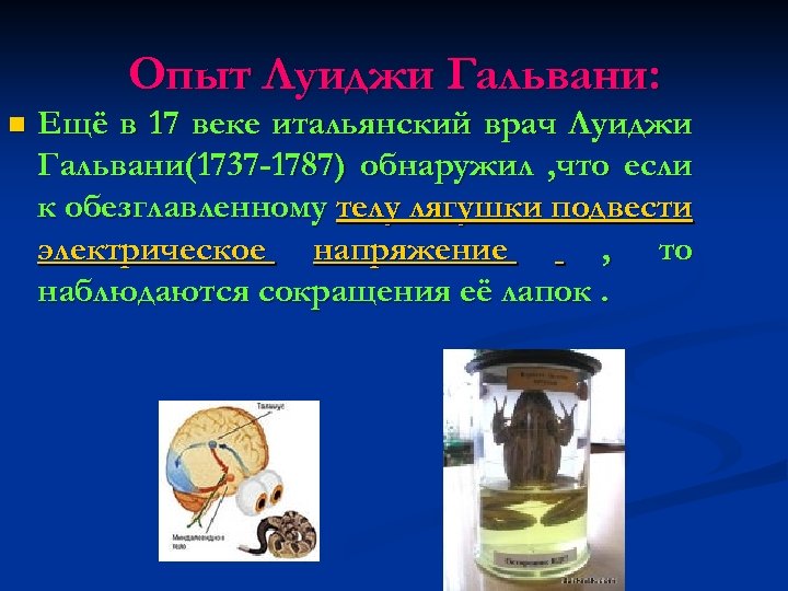 Опыт Луиджи Гальвани: n Ещё в 17 веке итальянский врач Луиджи Гальвани(1737 -1787) обнаружил