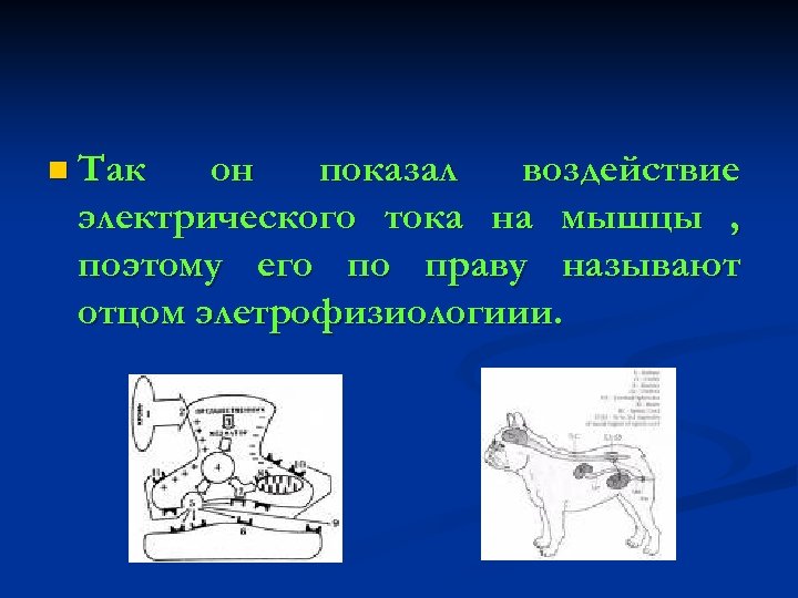n Так он показал воздействие электрического тока на мышцы , поэтому его по праву