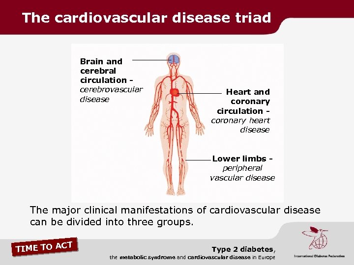 The cardiovascular disease triad Brain and cerebral circulation cerebrovascular disease Heart and coronary circulation