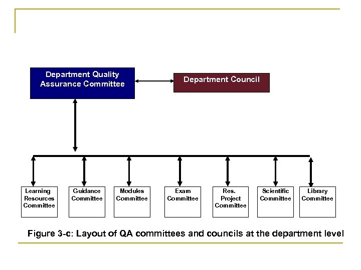 Department Quality Assurance Committee Learning Resources Committee Guidance Committee Modules Committee Department Council Exam