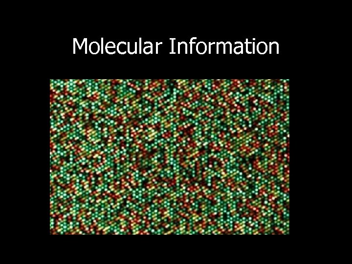 Molecular Information 