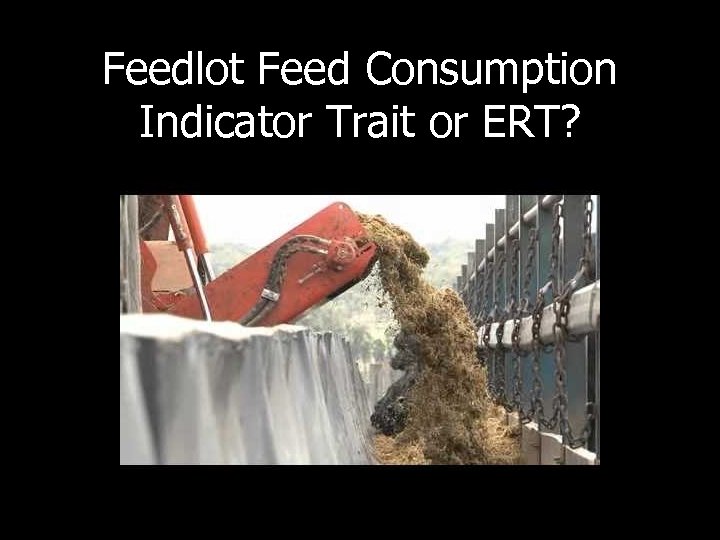 Feedlot Feed Consumption Indicator Trait or ERT? 