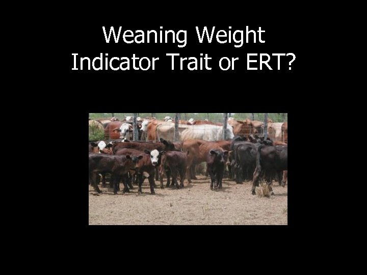 Weaning Weight Indicator Trait or ERT? 