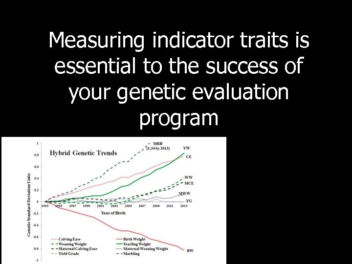 Measuring indicator traits is essential to the success of your genetic evaluation program 