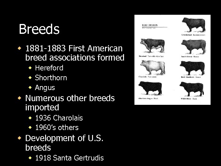 Breeds w 1881 -1883 First American breed associations formed w Hereford w Shorthorn w
