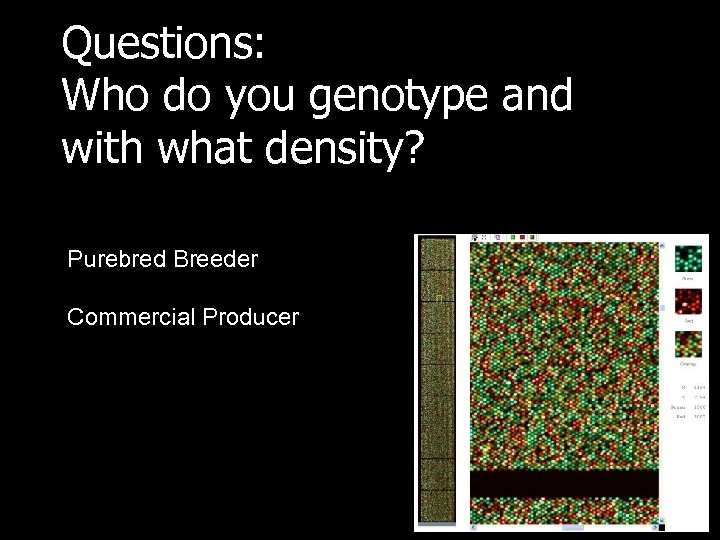Questions: Who do you genotype and with what density? Purebred Breeder Commercial Producer 