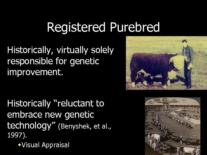 Registered Purebred Historically, virtually solely responsible for genetic improvement. Historically “reluctant to embrace new