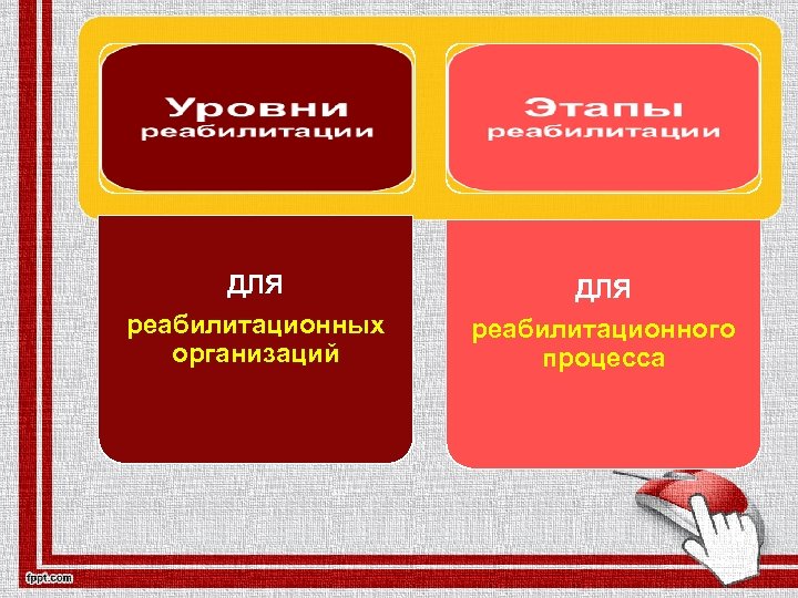ДЛЯ реабилитационных организаций ДЛЯ реабилитационного процесса 
