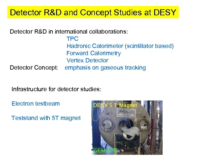 Detector R&D and Concept Studies at DESY Detector R&D in international collaborations: TPC Hadronic