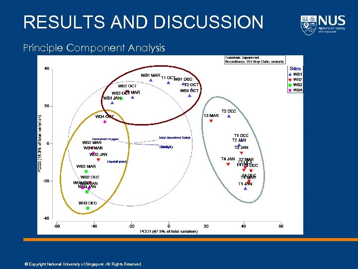 RESULTS AND DISCUSSION Principle Component Analysis © Copyright National University of Singapore. All Rights