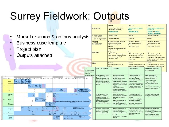 Surrey Fieldwork: Outputs • • Market research & options analysis Business case template Project