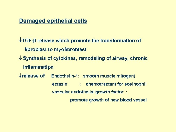 Damaged epithelial cells TGF- release which promote the transformation of fibroblast to myofibroblast Synthesis