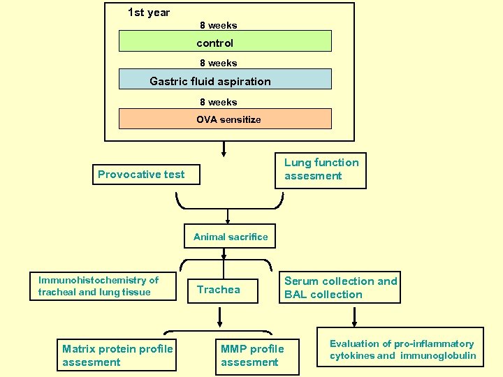 1 st year 8 weeks control 8 weeks Gastric fluid aspiration 8 weeks OVA