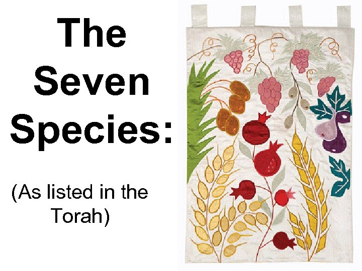 The Seven Species: (As listed in the Torah) 
