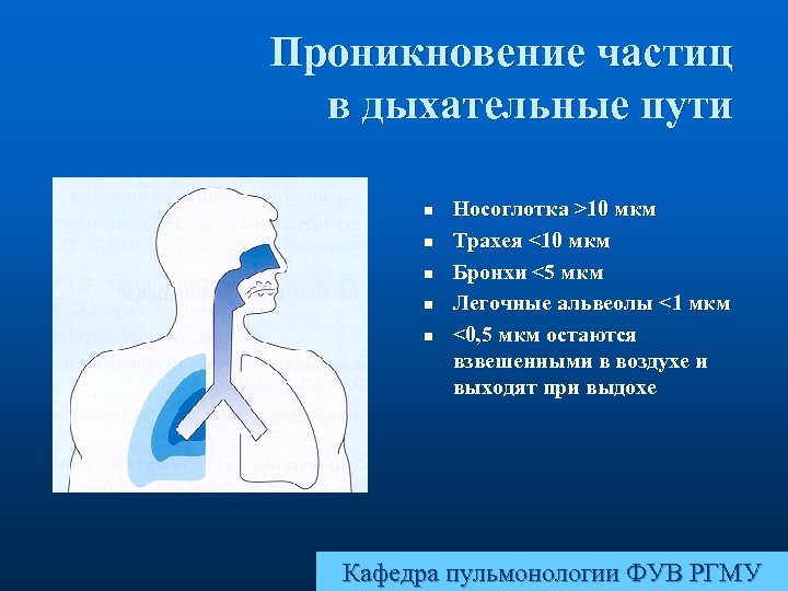 Проникновение частиц в дыхательные пути n n n Носоглотка >10 мкм Трахея <10 мкм