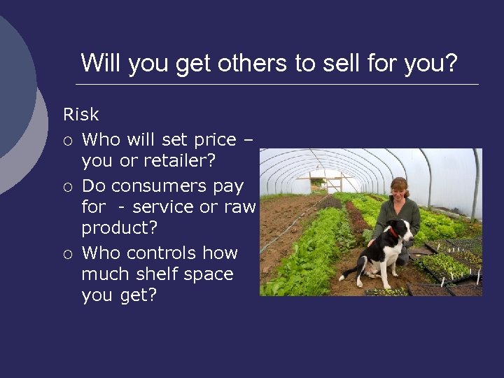 Will you get others to sell for you? Risk ¡ Who will set price