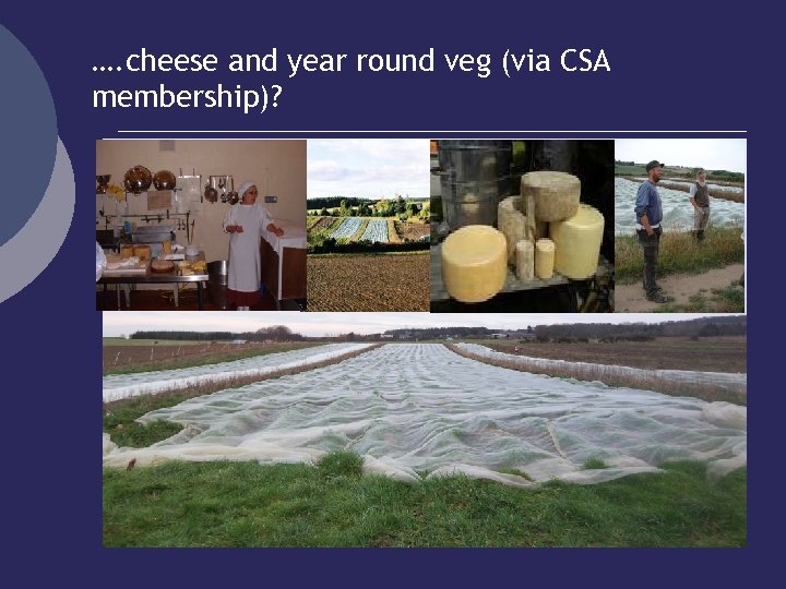 …. cheese and year round veg (via CSA membership)? 