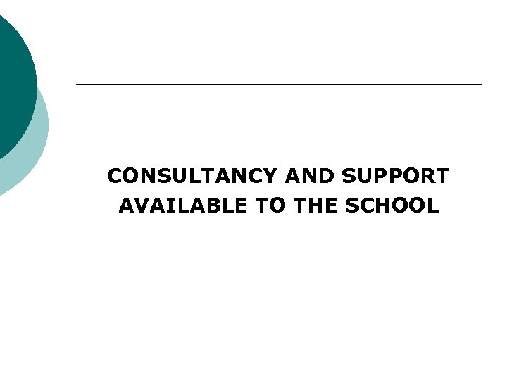 CONSULTANCY AND SUPPORT AVAILABLE TO THE SCHOOL 