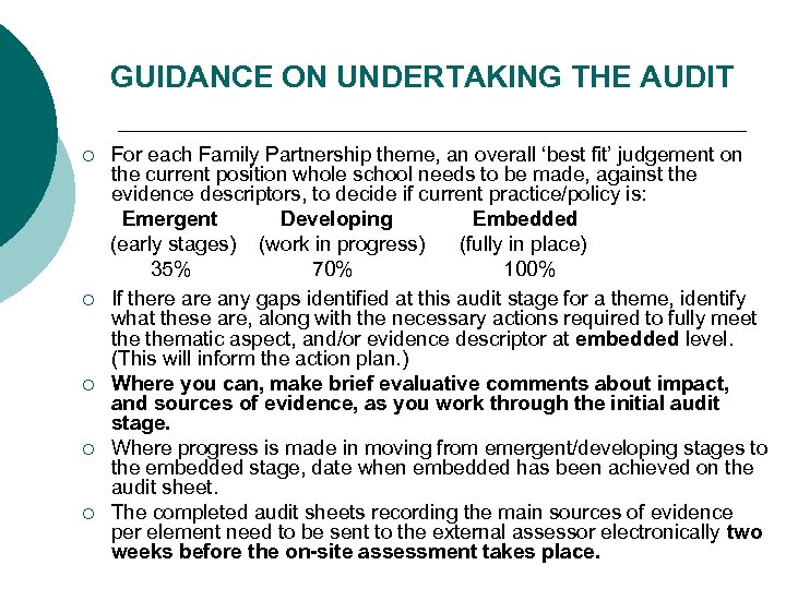 GUIDANCE ON UNDERTAKING THE AUDIT ¡ ¡ ¡ For each Family Partnership theme, an