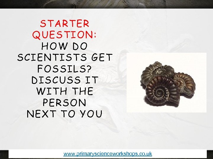 STARTER QUESTION: HOW DO SCIENTISTS GET FOSSILS? DISCUSS IT WITH THE PERSON NEXT TO