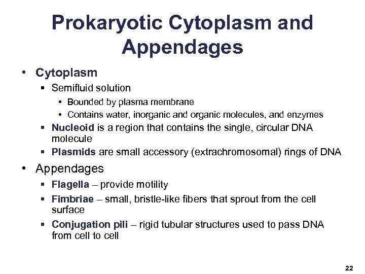 Prokaryotic Cytoplasm and Appendages • Cytoplasm § Semifluid solution • Bounded by plasma membrane