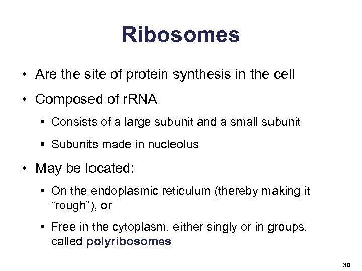 Ribosomes • Are the site of protein synthesis in the cell • Composed of