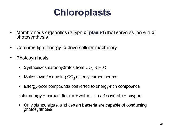Chloroplasts • Membranous organelles (a type of plastid) that serve as the site of