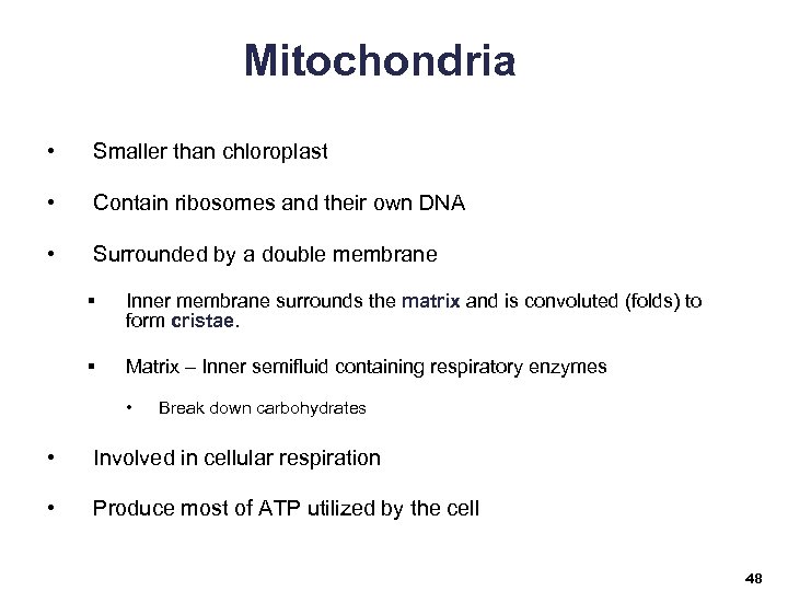 Mitochondria • Smaller than chloroplast • Contain ribosomes and their own DNA • Surrounded