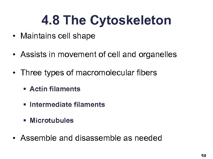 4. 8 The Cytoskeleton • Maintains cell shape • Assists in movement of cell