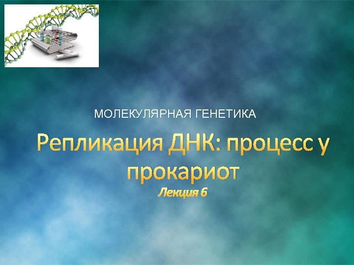 МОЛЕКУЛЯРНАЯ ГЕНЕТИКА Репликация ДНК: процесс у прокариот Лекция 6 