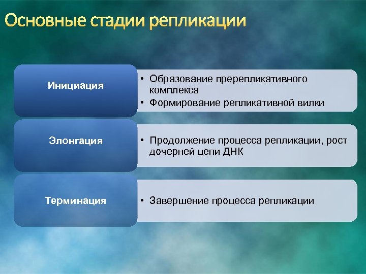 Инициация • Образование пререпликативного комплекса • Формирование репликативной вилки Элонгация • Продолжение процесса репликации,