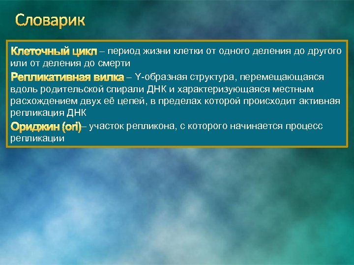 Словарик Клеточный цикл – период жизни клетки от одного деления до другого или от