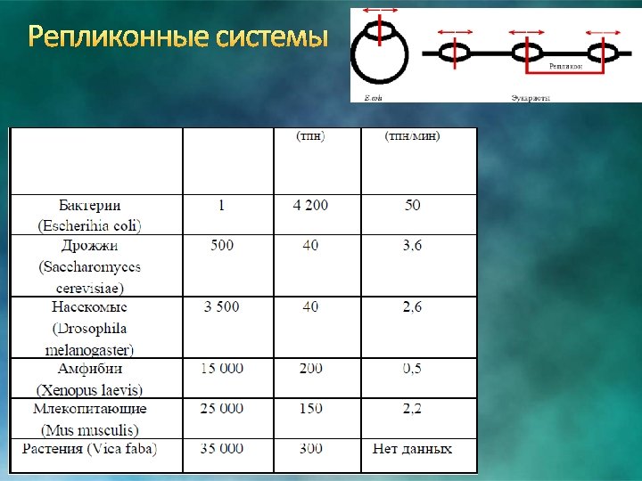 Репликонные системы 