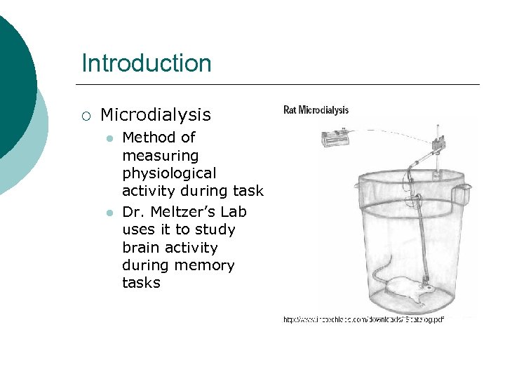 Introduction ¡ Microdialysis l l Method of measuring physiological activity during task Dr. Meltzer’s