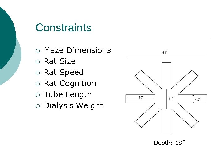 Constraints ¡ ¡ ¡ Maze Dimensions Rat Size Rat Speed Rat Cognition Tube Length