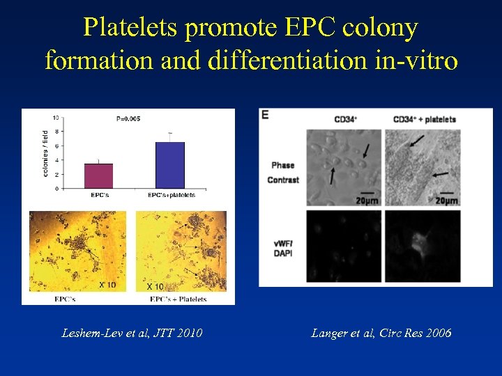 Platelets promote EPC colony formation and differentiation in-vitro Leshem-Lev et al, JTT 2010 Langer