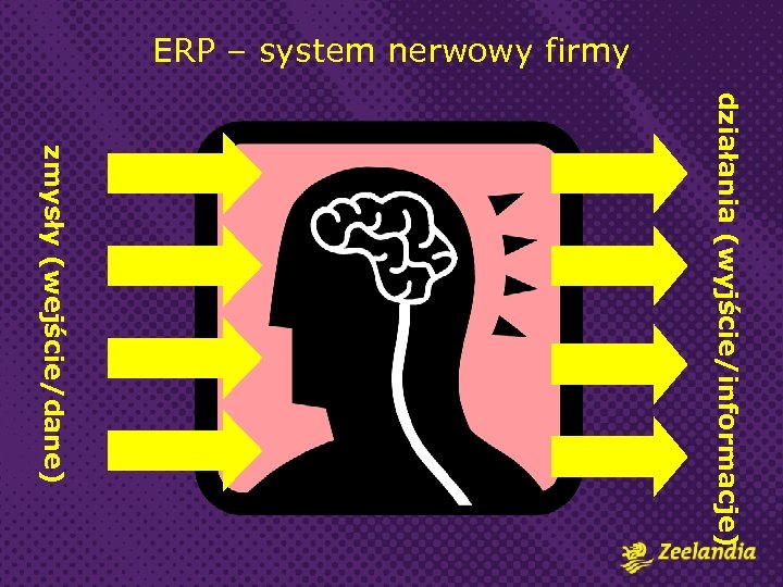 ERP – system nerwowy firmy działania (wyjście/informacje) zmysły (wejście/dane) 