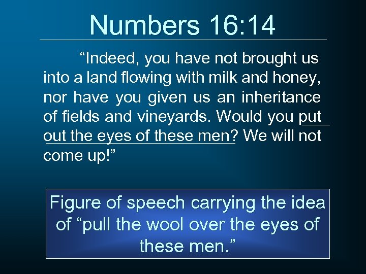 Numbers 16: 14 “Indeed, you have not brought us into a land flowing with