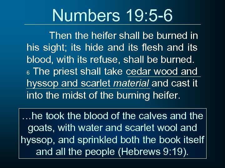 Numbers 19: 5 -6 Then the heifer shall be burned in his sight; its