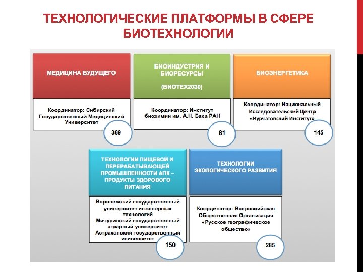 Биотехнология достижения и перспективы развития 9 класс презентация пасечник