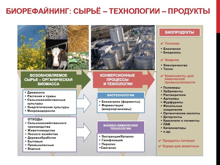 БИОРЕФАЙНИНГ: СЫРЬЁ – ТЕХНОЛОГИИ – ПРОДУКТЫ 