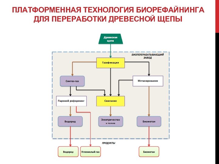 ПЛАТФОРМЕННАЯ ТЕХНОЛОГИЯ БИОРЕФАЙНИНГА ДЛЯ ПЕРЕРАБОТКИ ДРЕВЕСНОЙ ЩЕПЫ 