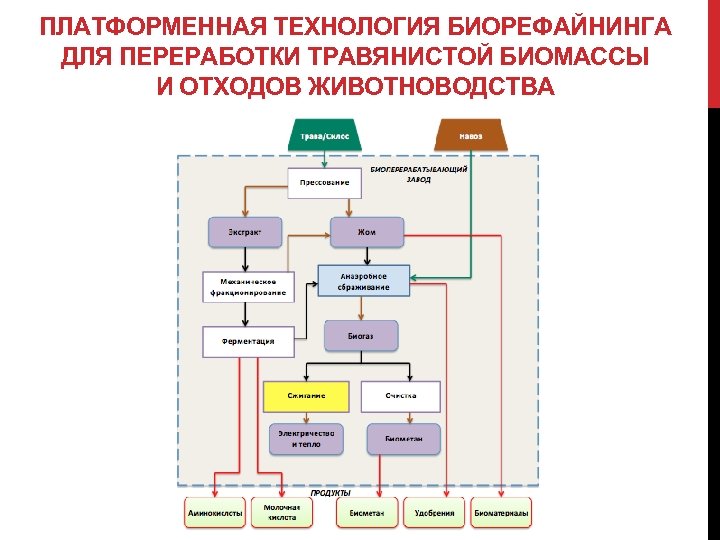 ПЛАТФОРМЕННАЯ ТЕХНОЛОГИЯ БИОРЕФАЙНИНГА ДЛЯ ПЕРЕРАБОТКИ ТРАВЯНИСТОЙ БИОМАССЫ И ОТХОДОВ ЖИВОТНОВОДСТВА 