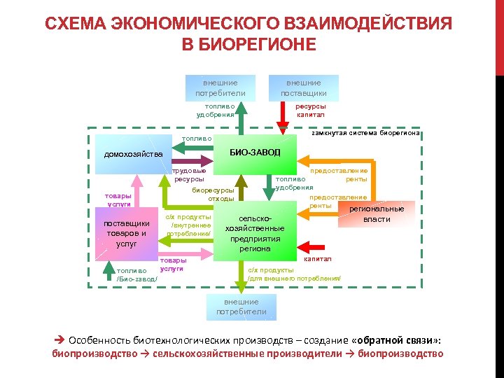 СХЕМА ЭКОНОМИЧЕСКОГО ВЗАИМОДЕЙСТВИЯ В БИОРЕГИОНЕ внешние потребители внешние поставщики топливо удобрения ресурсы капитал замкнутая